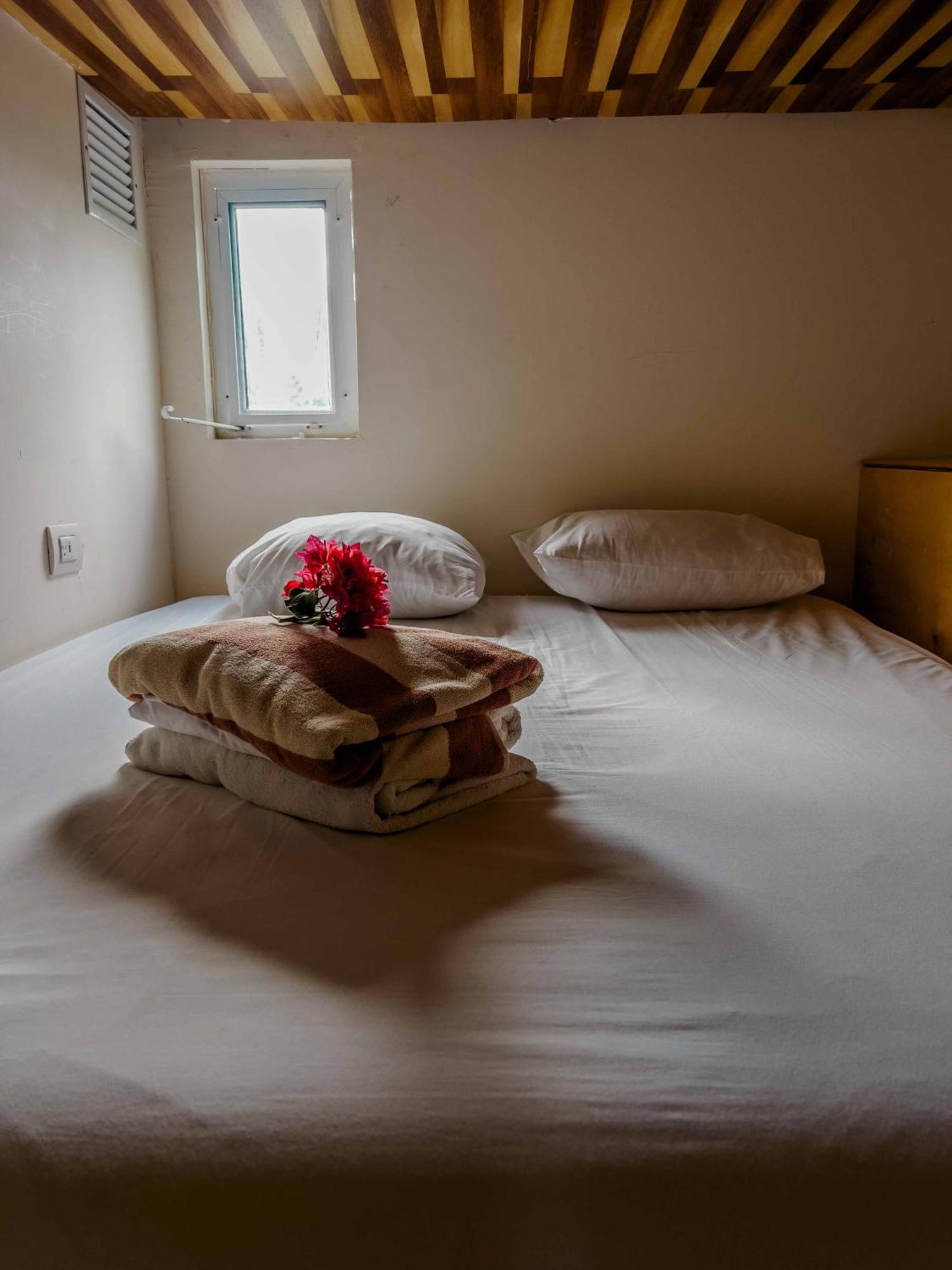 Oostel Smart Hostel - Tulum Pueblo (Adults Only) Dış mekan fotoğraf