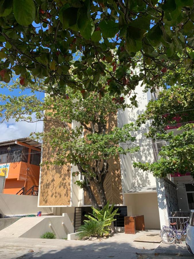 Oostel Smart Hostel - Tulum Pueblo (Adults Only) Dış mekan fotoğraf